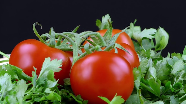 Organic Healthy Parsley and Tomato Vegetable Photo