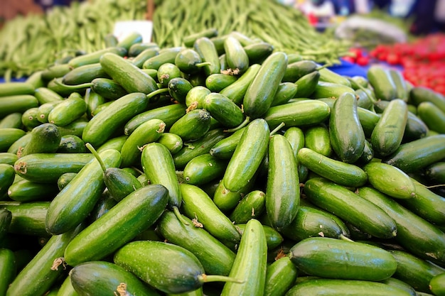 Organic Healthy Vegetable Green Cucumber in Bazaar