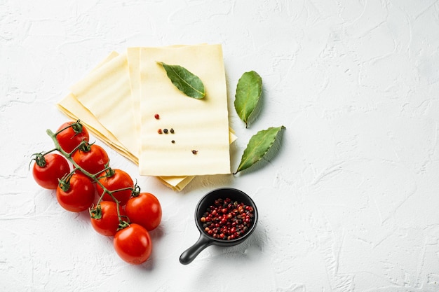 Organic lasagna pasta sheets with seasoning and herb on white stone background with copy space for text