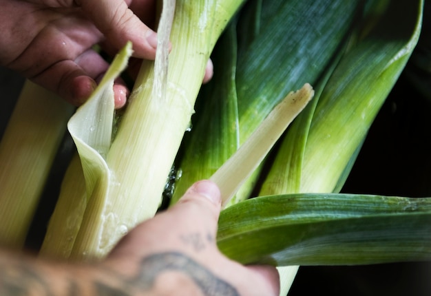 Organic leeks food photography recipe idea