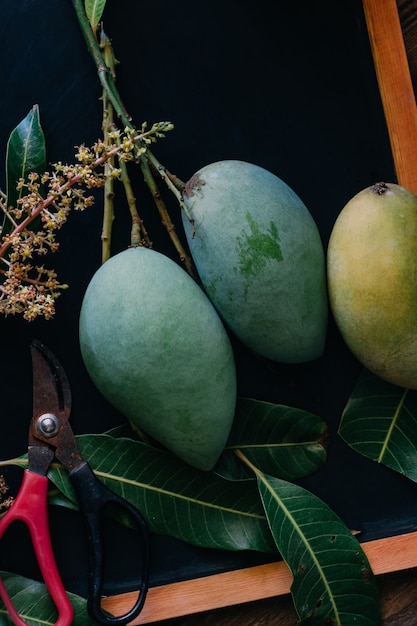 Organic mango on table