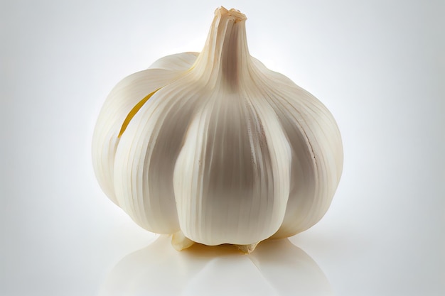 Organic One natural Garlic with white background