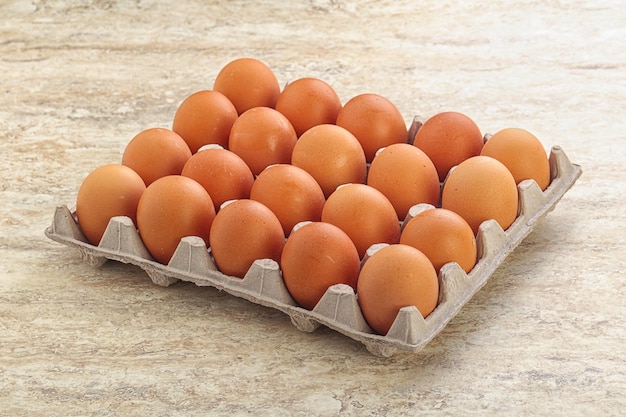 Organic raw chicken egg in the carton