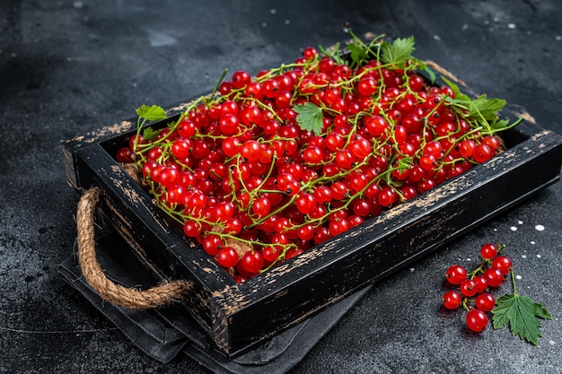 Organic Red currant berries in a wooden box Black background Top view