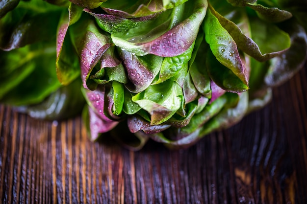 Organic Red Oakleaf lettuce