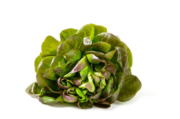 Organic Red Oakleaf lettuce