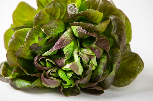 Organic Red Oakleaf lettuce