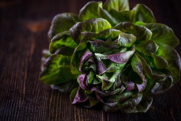 Organic Red Oakleaf lettuce