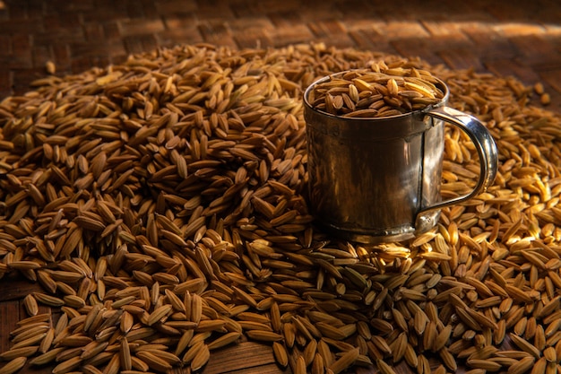 organic rice in close up