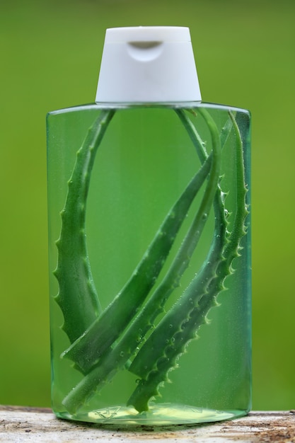 Organic Shampoo with Aloe Vera. leaves of aloe vera in a transparent shampoo bottle .organic cosmetics concept