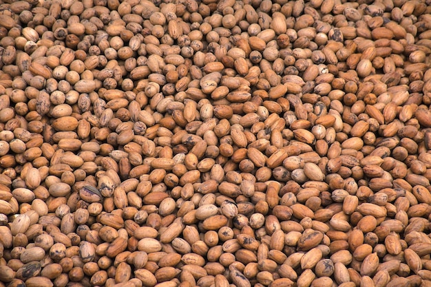 Organic shelled walnut texture background from mexico