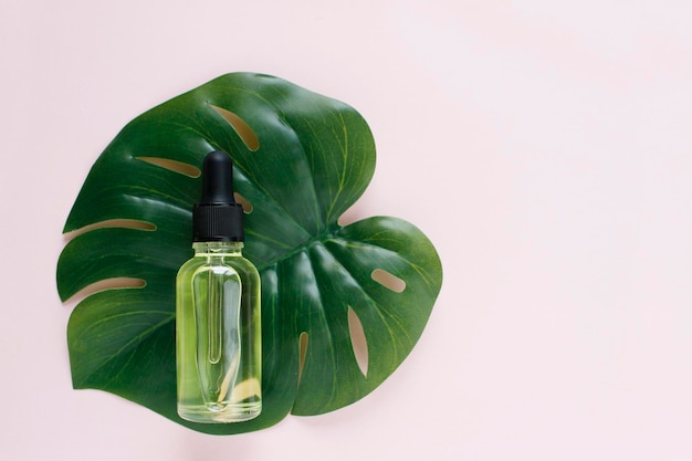 Organic Spa Cosmetic With Herbal Ingredients. Vegetable serum for skin. Serum with herbal extracts. Serum in a transparent glass bottle with a pipette and green twig on a white background