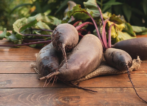 Organic vegetable beetroot on a wooden background closeup Vegetarian food