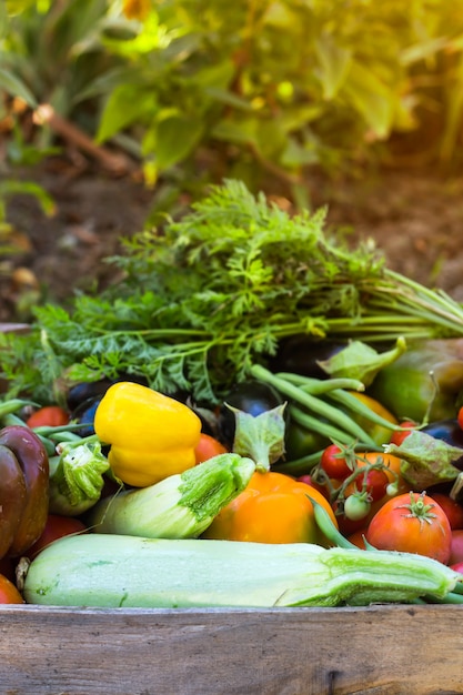 Organic vegetables from the home garden