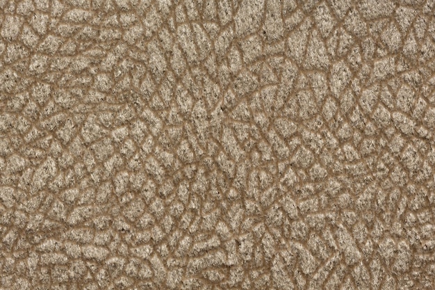 Ornamental fabric texture in beige colour