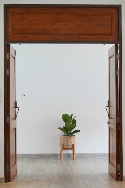 Ornamental plant in wicker basket on wood grain floor and white wall view through open door