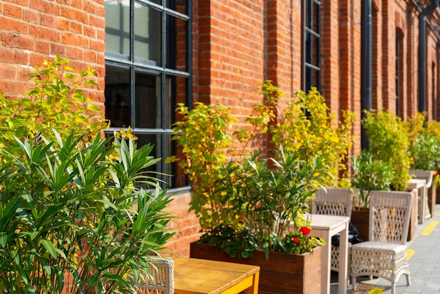 Ornamental plants in a street cafe local