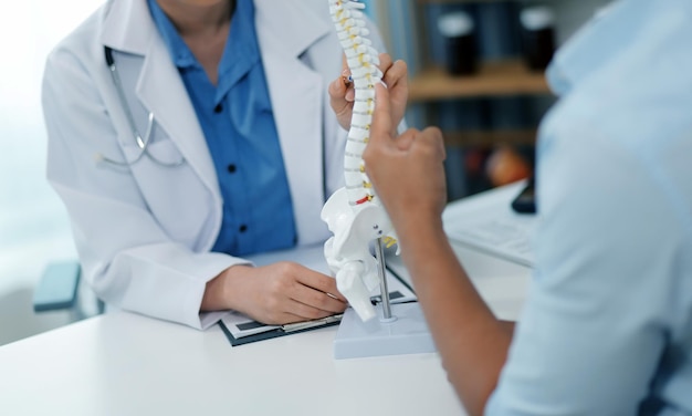 Photo orthopedists holding digital tablet and pointing at model concept of osteoporosis back pain lumbar chiropractic and health