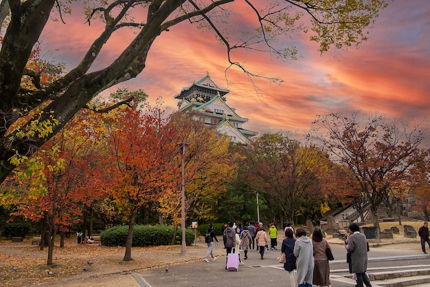 Osaka castle in Autumn foliage season is a famous Japanese castle landmark and popular for tourist attractions Osaka Kansai Japan 28 November 2019