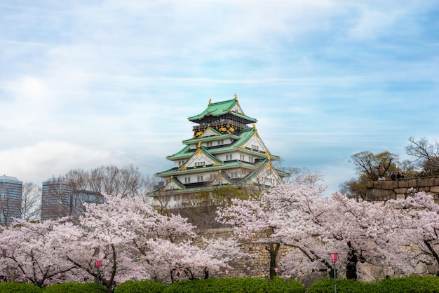 Osaka castle with cherry blossom in Osaka; Japan. Japan spring beautiful scene.