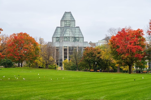 Ottawa Ontario Canada October Major's Hill Park autumn red leaves scenery National Gallery of Canada