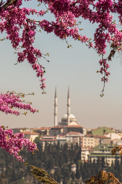 Ottoman style mosque in Istanbul