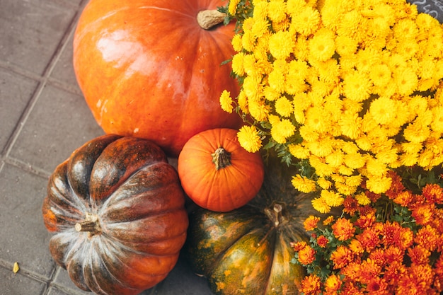 Outdoor autumn or fall decorations with big pumpkins and different flowers.