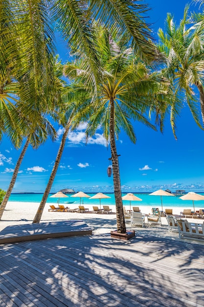 Outdoor beach bar chairs tables with lounge chairs and umbrellas Tropical beachfront relaxation