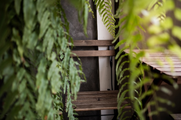 Outdoor Empty Chair surrounded by Green Fern Leaves in the Garden or Backyard.