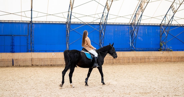 Outdoor horseback rider lady Pretty woman riding on horse