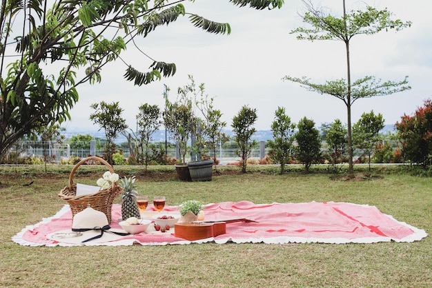 Outdoor picnic on the red checkered cloth. Summer leisure lifestyle.