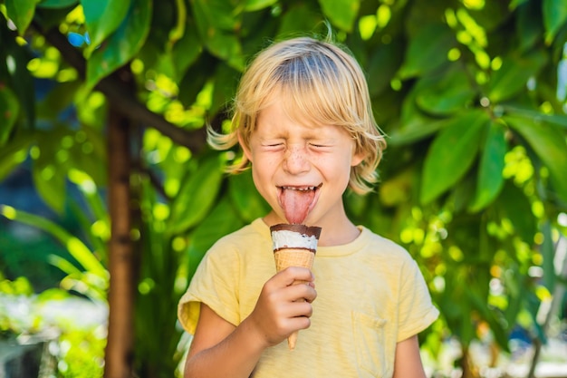 Outdoor portrait of happy boy with ice cream in waffles cone Cute child holding icecream and making gladness face while walking in the park