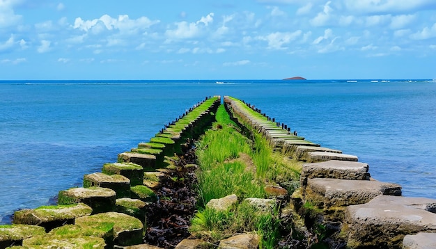 Outdoor shoreline breakwater and ocean view