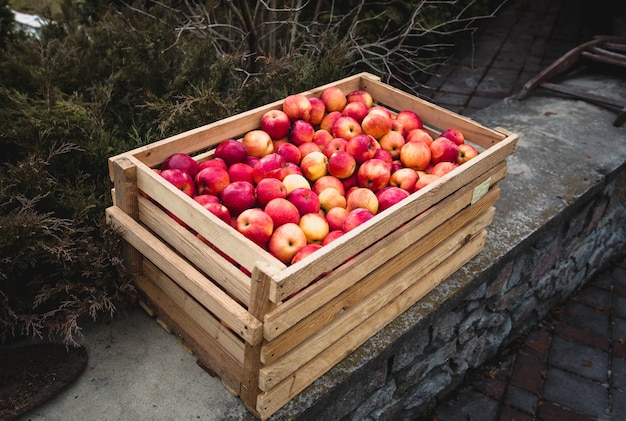 Outdoor shot of wooden box full of fresh red apples