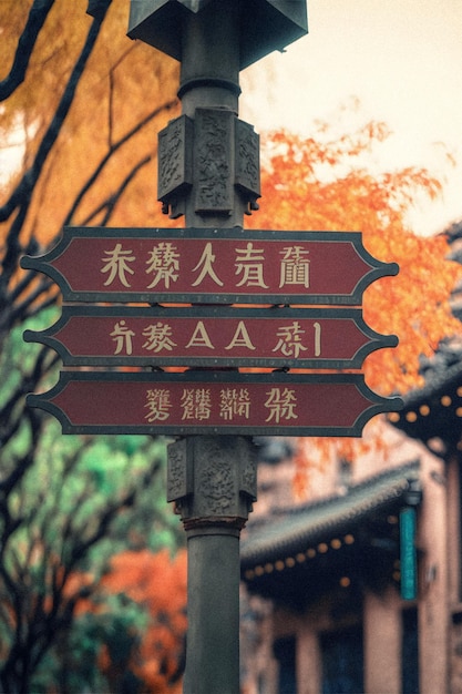 Outdoor street name sign in Chinese towns illustration granular texture