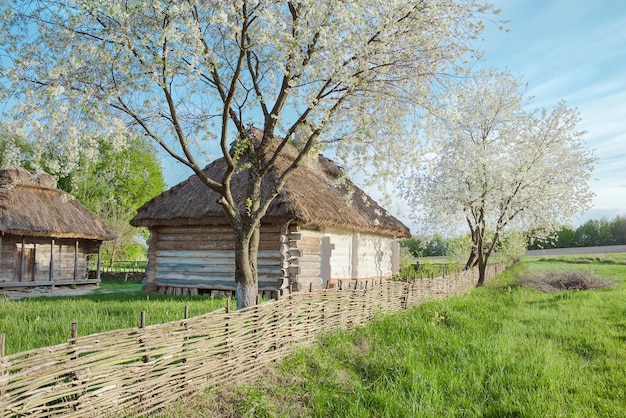 outdoor ukrainian national falk historical village in Kyiv