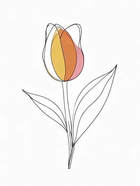 Photo outline of a tulip