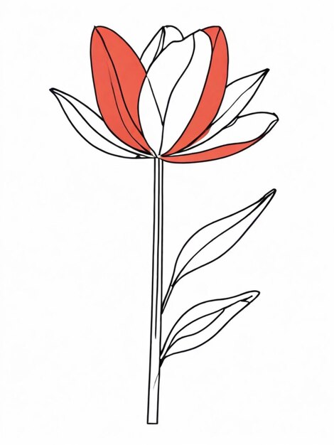 Outline of a tulip