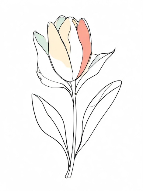 Outline of a tulip