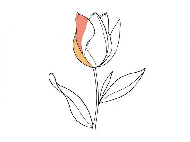 Outline of a tulip