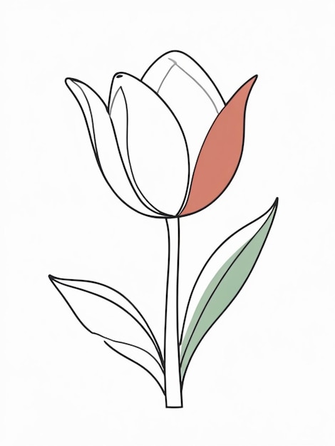 Outline of a tulip