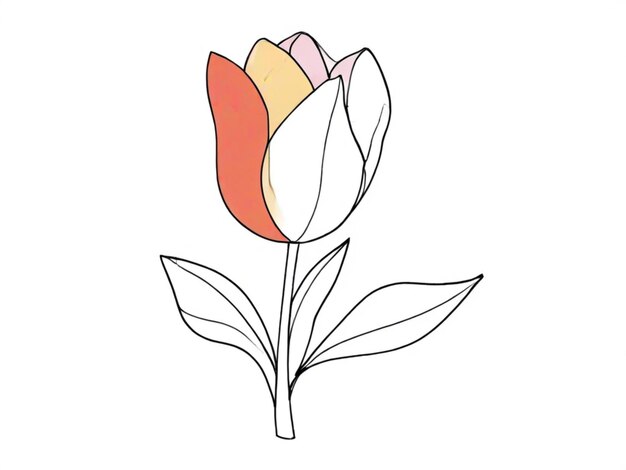 Outline of a tulip