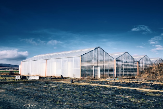 Outside greenhouse with cloudy sky