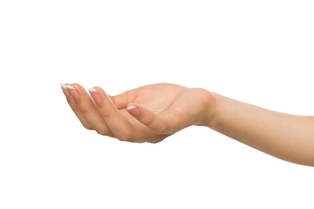 Outstretched female hand with manicure, woman keeping empty cupped palm on white isolated background - offering or begging concept, close-up, copy space, cutout