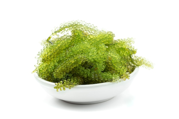 Oval sea grapes seaweed, Close up Green Caviar isolated on white background