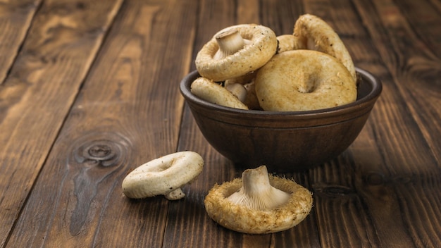 An overflowing clay bowl with wild mushrooms on a wooden table