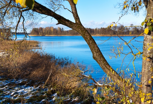 Overgrown lake