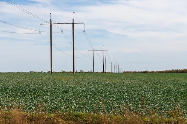 overhead power lines in the countryside