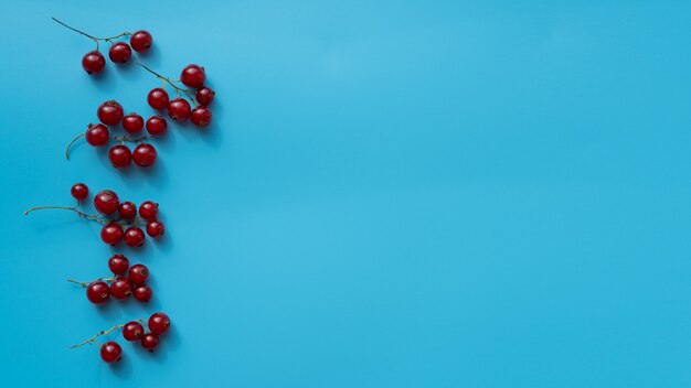 An overhead shot of delicious, mouth-watering ripe berries for eating or making desserts. Slices of fresh currants on a blue background. Healthy food. Copy spase.