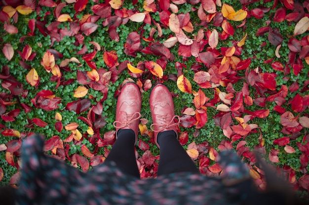 overhead shot of woman standing on autumn leaves